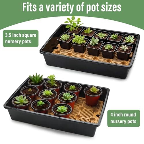5 Pack Nursery Pots Trays with Removable Mesh Drainage Mat, Plastic Seed Starter Trays (17"x12"x3.5") with Drainage Hole, Propagation Kit for Seedlings, Microgreens, Plant Germination (Black) view 3
