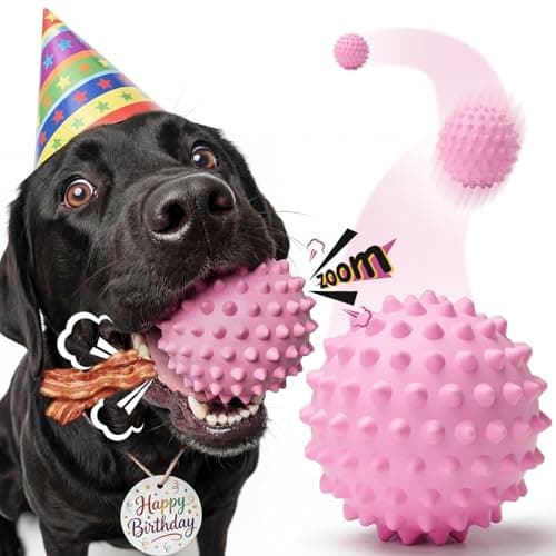 Apasiri Interactive Squeaky Balls for Dogs: 3.5-Inch Bacon-Flavored Spiky Dog Balls for Aggressive Chewers, Large Durable Rubber Floating Dog Toys for Large/Medium Dogs, Pink-Party Dog Gifts Birthday