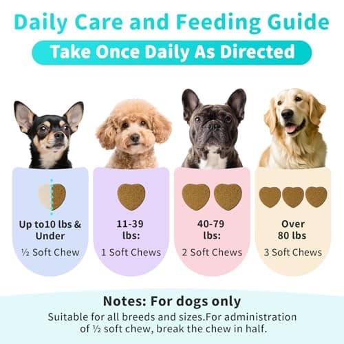 Probiotics for Dogs, Digestive Enzymes & Pumpkin Fiber for Gut Health and Bowel Support, Dog Supplement for Gas Relief & Constipation, 10B CFU with 5 Prebiotics & 5 Enzymes, 90 Count Beef Flavor view 7