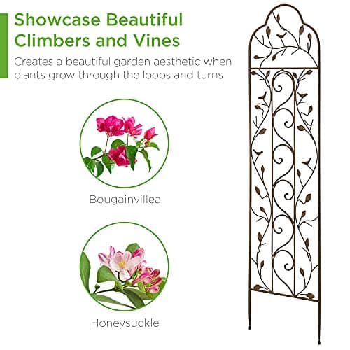 Best Choice Products 60x15in Iron Garden Trellis, Arched Outdoor Decoration w/Branches, Birds for Lawn, Garden, Backyard, Climbing Plants - Bronze view 5