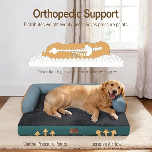 Comfort Expression Memory Foam Dog Bed Large Sized Dogs - XL Waterproof Orthopedic Pet Bed for Big Dog with Washable Removable Cover Non-Slip Pet Sofa Couch, 42 x 30 view 2