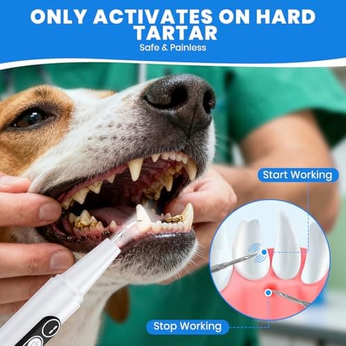 PATWING Dog Plaque Remover for Teeth, Pet Ultrasonic Cleaner with LED Light & Stand, 5 Modes, Pet Teeth Cleaning kit, Suitable for Dogs and Cats view 2
