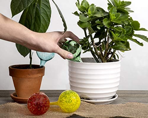 Besti Large Self Watering Globes for Plants (6-Pack) Waters Greenery Up to 2 Weeks Hands Free | Durable, Multicolored Glass Craftsmanship | Indoor and Outdoor Use - Measures 12” x 3.5” view 2
