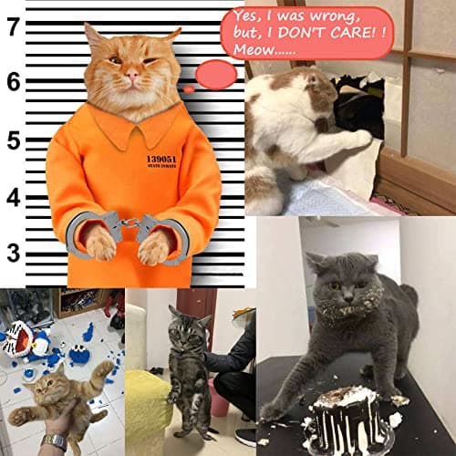 ZB.soar Funny Cat Handcuffs, Key Buckle,Stainless Steel Pet Toy Handcuffs, Mini Pet Handcuff Suitable for Most Small Pets,Increase The Relationship with Your Pets (Metal) view 2