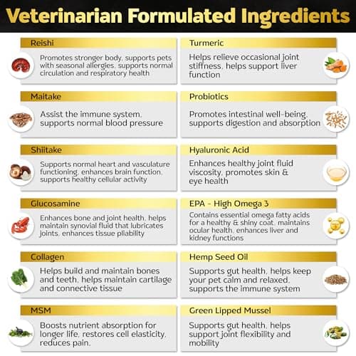 Life4Legs - Hip and Joint Chews for Dogs + Skin and Coat Supplement - Dog Joint Pain Relief Treats - Glucosamine, Chondroitin, MSM, Hemp Oil, Turmeric, Omega 3 for Dogs, Mobility Dog Health Supplies view 6