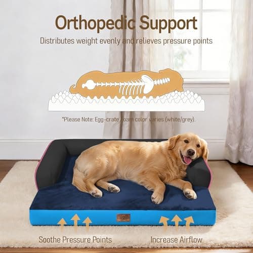 Comfort Expression Extra Large Dog Bed Orthopedic - XL Orthopedic Dog Beds Waterproof Pet Couch Memory Foam Sofa Bolster with Removable Cover - 42 x 30 view 2