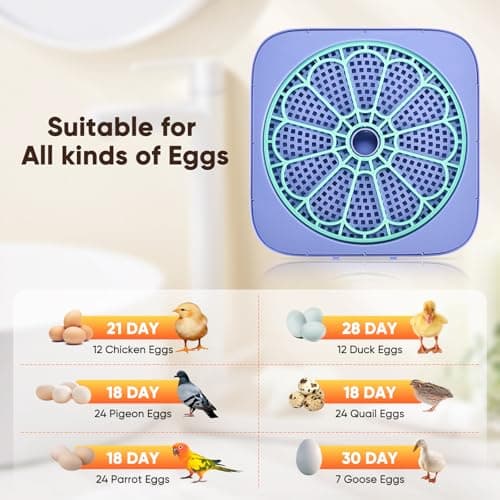Incubators for Hatching Eggs, 12-24 Egg Digital Incubator with Smart Temperature & Humidity Control, Auto Egg Turner, Egg Candler, Poultry Hatcher for Chicken Eggs, Ducks, Goose, Quail Eggs view 5