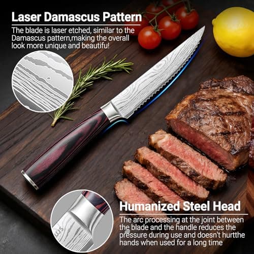 DAJOUJS 4.5 Inch Serrated Steak Knife - Ultra Sharp Serrated Knife Japanese High Carbon Steel Blade, Ergonomic Handle, Premium Kitchen Cutlery for Steak, BBQ & Outdoor Meals view 3