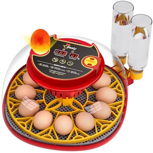 Incubator for Hatching Eggs,Automatic Turning,Temperature and Humidity Control Display,360° Viewing for Chicken, Duck, Quail Eggs, Ideal for Farm, Classroom, Home Use,2025 Upgraded 12 Egg Incubators view 1