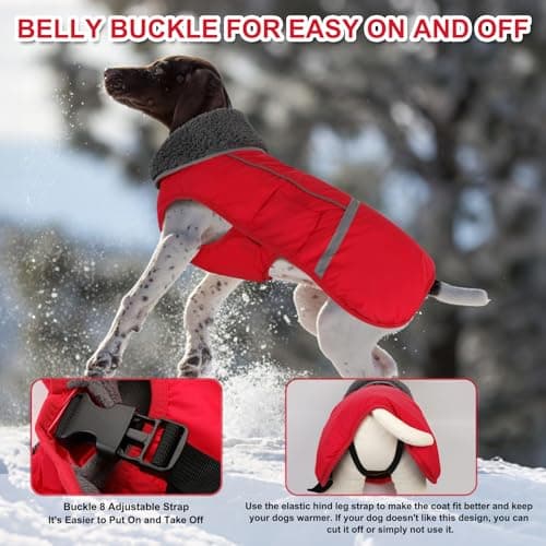 Doglay Warm Fleece Dog Coat,Waterproof Dog Winter Jacket with Leash Hole view 2