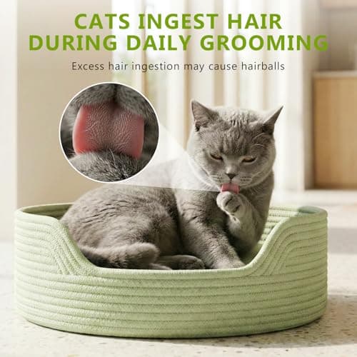 Prettypum Cat Grass Treats for Indoor Cats - Freeze Dried Cat Grass Crunchy Snacks for Hairball Control and Digestive Support - Natural Kitty Grass Supplement - 4.23 oz view 3