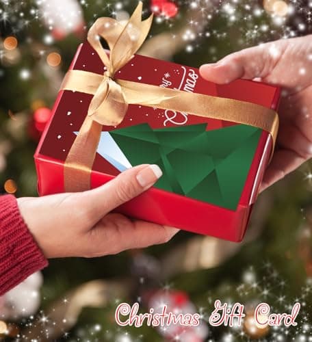 HSHFAMIIY Christmas Cards, 24 Pcs Christmas Cards with Envelopes & Stickers view 6