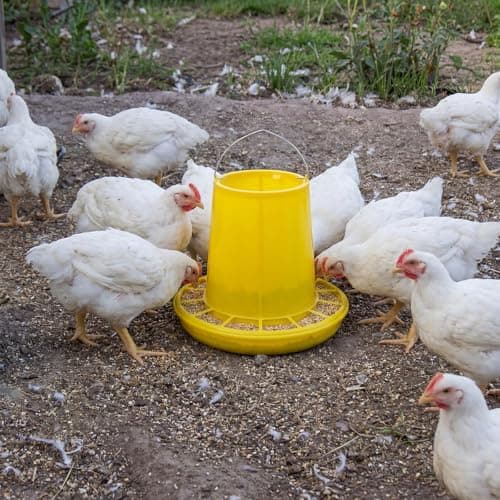 Shellwei 8 Pack 17.6 lb Hanging Chicken Feeders Large Chick Feeder Chicken Food Dispenser for Large Automatic Plastic Poultry Feed Dispensers for Ducks Geese Turkeys Quail view 4