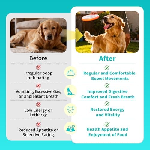 Probiotics for Dogs, Digestive Enzymes & Pumpkin Fiber for Gut Health and Bowel Support, Dog Supplement for Gas Relief & Constipation, 10B CFU with 5 Prebiotics & 5 Enzymes, 90 Count Beef Flavor view 4