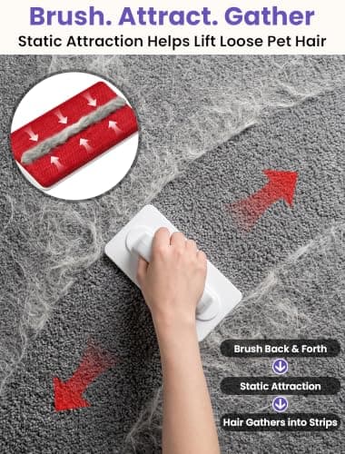 DELOMO Reusable Pet Hair Remover Brush for Furniture, Dog & Cat Fur Remover view 3