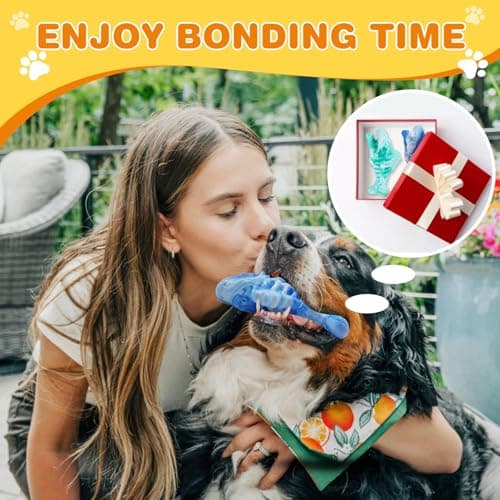 BoYoYo Tough Dog Toys for Aggressive Chewers 2 Pack, Indestructible Dog Toys to Keep Them Busy, Beef Flavor, Nylon Dog Chew Toys for Small, Medium and Large Dogs, Blue & Green view 5