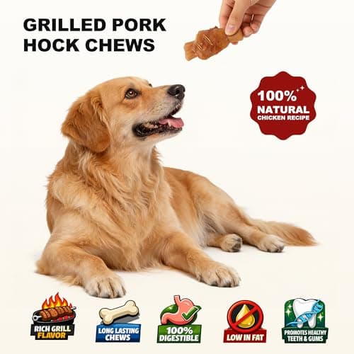 PETPHABET Rawhide Free Dog Chew Bones - Grilled Pork Hock Dog Chews for Small Medium Breeds, Healthy Puppy Treats for Training & Teething, Made with Real Chicken, Natural Smoky Flavor, 12 Count view 2