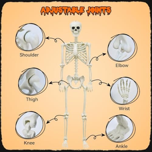 Halloween Decorations Outdoor 5.4Ft Life-Size Realistic Posable Skeleton | Full Body Realistic Human Bones with Posable Joints, Durable Outdoor/Indoor Spooky Skeleton Prop for Haunted House, Yard view 4