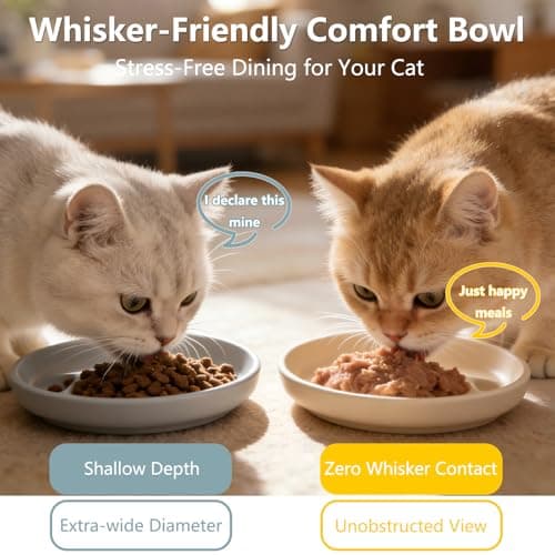Onyucean Non-Slip Cat & Dog Food Bowl, Shallow Wide Pet Plate for Puppy Kitten, Unbreakable Silicone Feeding Bowls for Cat Dog & Pets, Heavy Duty, Dishwasher Safe, Mess-Free view 3