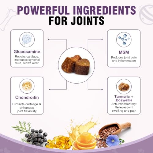 Hip and Joint Supplement for Dogs 200ct, Glucosamine Chondroitin for Dogs | Hip & Joint Care, Soft Chews, Dog Arthritis Pain Supplement, Mobility Treats for Small/Medium/Large Dog MSM for Dogs, Chicken view 5
