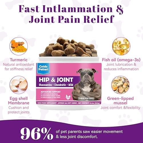 Glucosamine for Dogs Hip and Joint Support - Dog Joint Supplement with Chondroitin, MSM, Turmeric & Omega 3 - Relief for Joint Pain & Inflammation - Mobility & Flexibility - 150 Soft Chews, Chicken view 2