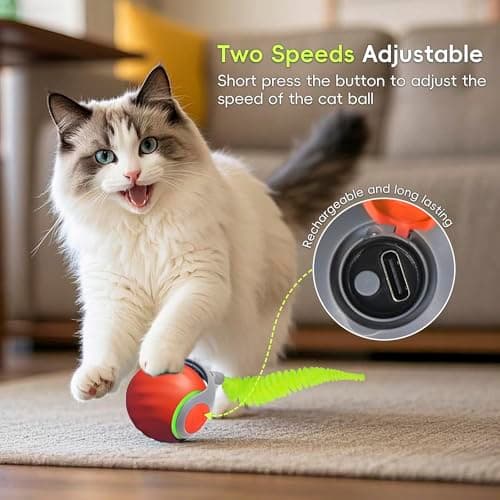 Petrendy Speedy Tail Cat Toy 2.0, Interactive Cat Ball Toy for Bored Indoor Cats, Automatic Moving Pet Play Ball, Two Speed Adjustment with Replacement Tail view 3