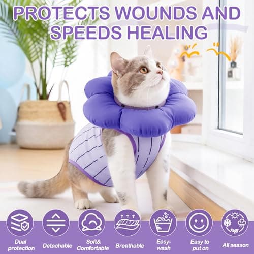 EMUST Cat Surgery Recovery Suit for Female Cats, Adjustable Soft E-Collar Alternative Onesie, Breathable Anti-Licking Post-Op Pet Pajamas for Spay & Abdominal Protection(Grapes,M) view 6
