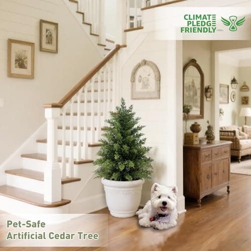 2 Pack 2ft Artificial Cedar Trees for Outdoors (UV Resistant), Potted Faux Cedar Topiary Plants for Front Porch, Realistic Evergreen Shrub for Entryway & Patio Decor view 3
