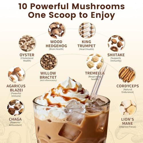 Catfit Instant Mushroom Coffee Powder, 10-in-1 Adaptogen Blend with Lion's Mane, Chaga & Cordyceps for Energy, Focus, Gut Health & Immune Support - 160g, 50 Servings view 4