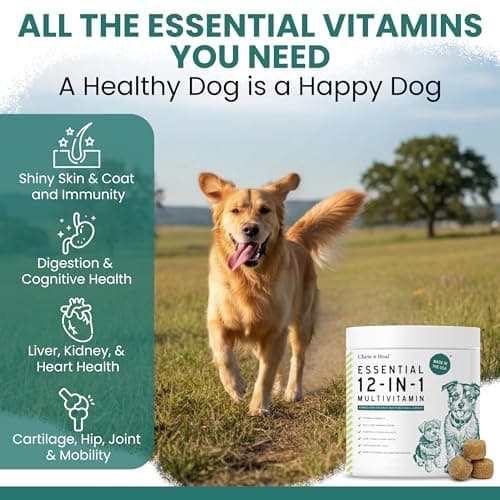 Dog Multivitamin Chewable - Chew + Heal 12-in-1, 60 Ct, All Breeds Dog Vitamins & Supplements for Hip & Joint, Skin, Coat, Immune Support with Glucosamine, Omega 3,6,9, Probiotics, Chicken Flavor view 2