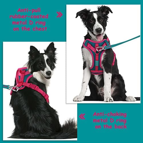 Wolfone No Pull Dog Harness Adjustable Soft Padded Pet Vest with Control Handle Adorable Daily Harness for Dogs（Viridian Green M） view 4