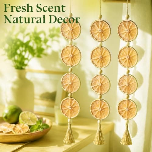 Organic Dehydrated Limes Slices Cocktail Garnish Dried Fruits Sugar Free Dry Fruit for Drinks Smoothies Cooking Tea Pie Baking Decoration Candle Craft Decor, Non GMO Gluten Free & Vegan 10 oz view 5
