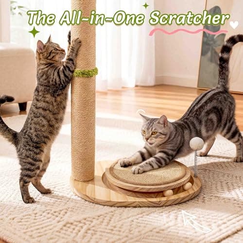 Catails 39" Tall Cat Scratching Post, Cute Olive Cat Scratcher, Interactive Cat Toys with Ball Track & Spring Ball, Sturdy Cat Scratch Post with Pad for Indoor Cats Adults and Kittens view 3