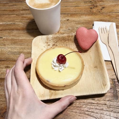 ECODESIGN-US Palm Leaf Plates 100 Count - 6" Square Disposable Heavy Duty Dinnerware - Appetizer and Dessert Plates for Weddings, Catering, Parties view 2