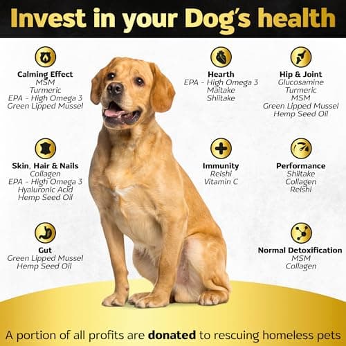 Life4Legs - Hip and Joint Chews for Dogs + Skin and Coat Supplement - Dog Joint Pain Relief Treats - Glucosamine, Chondroitin, MSM, Hemp Oil, Turmeric, Omega 3 for Dogs, Mobility Dog Health Supplies view 2