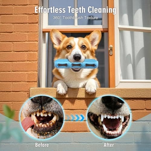 Eternalyme Bite and Brush Chew Toys for Small and Medium Breeds，Dogs Dental Chew，Teething Chew Toys，Toothbrush Toy for Cleaning Teeth and Keeping Dogs Busy(3-Pack) view 3