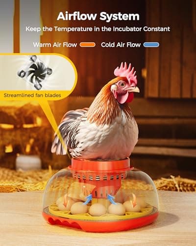 Incubator for Hatching Eggs,Automatic Turning,Temperature and Humidity Control Display,360° Viewing for Chicken, Duck, Quail Eggs, Ideal for Farm, Classroom, Home Use,2025 Upgraded 12 Egg Incubators view 4