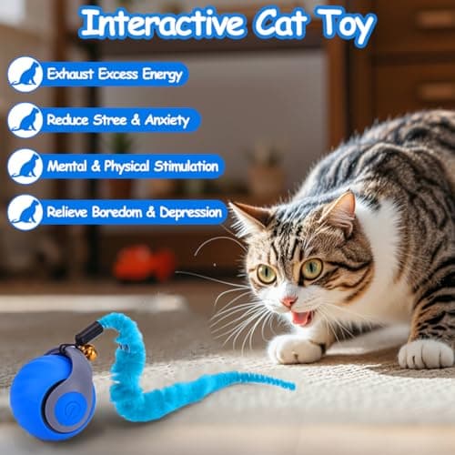 2PCS Interactive Cat Ball Toy, Self Rolling Ball with Cover Anti-Scratch for Bored Indoor Cat Chasing, Obstacle Avoidance Smart Cat Toys for Enrichment, Motion Activated Toys to Keep Them Busy view 6