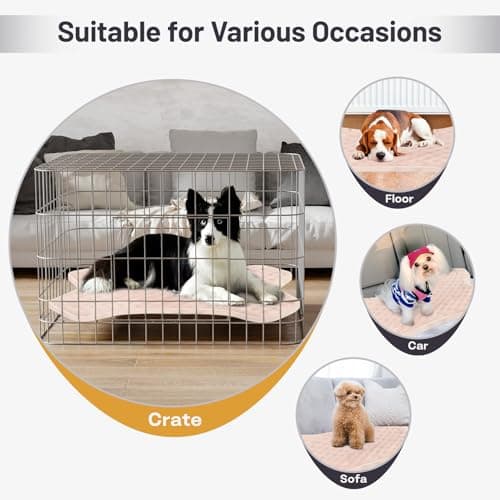 Dog Bed Mat, Soft Foam Dog Crate Pad for Small Medium Dogs, Stylish Bone-Shaped, Anti Slip & Washable Pet Floor Mat Puppy Bed for Crates, Kennel view 5