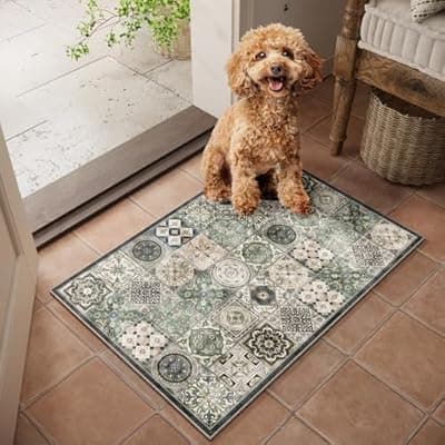 NoiFamo Machine Washable Entryway Small Area Rugs: Soft Non-Slip LowPile Door Mat Indoor Entrance 2x3 ThrowRug for High-Traffic Areas Kitchen, Hallway, Farmhouse Decor