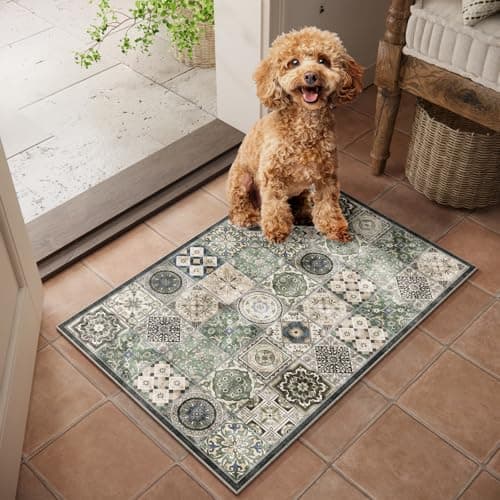 NoiFamo Machine Washable Entryway Small Area Rugs: Soft Non-Slip LowPile Door Mat Indoor Entrance 2x3 ThrowRug for High-Traffic Areas Kitchen, Hallway, Farmhouse Decor — image 1