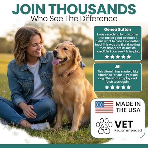 Dog Multivitamin Chewable - Chew + Heal 12-in-1, 60 Ct, All Breeds Dog Vitamins & Supplements for Hip & Joint, Skin, Coat, Immune Support with Glucosamine, Omega 3,6,9, Probiotics, Chicken Flavor view 5