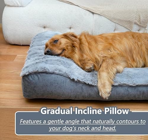 OMIVIER Large Dog Bed with Low-Angle Soft Pillow.Deluxe Dog Bed Fabric Comfortable and Soft.with Non-Slip Bottom, Washable pet Bed Medium for Crate.Color: Grey. view 3