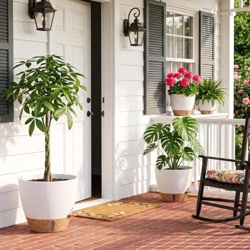 Plant Pots, 12" 10" 6" 8" Inch Self Watering Pots with Water Level Indicator, Set of 5 Flower Pots Indoor with Drainage Holes, Modern Planters for Indoor Outdoor Plants, Room & Office Décor view 6