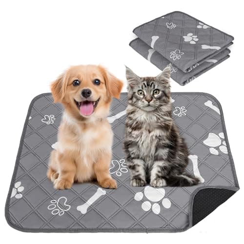 Petrendy Washable Pee Pads for Dogs, 2 Pack Absorbent Reusable Puppy Pads Dog Training Pads, Waterproof Non-Slip & Leak-Proof Potty Whelping Pad for Playpen, Crate, Bed, Potty Training 24"x18" — image 1