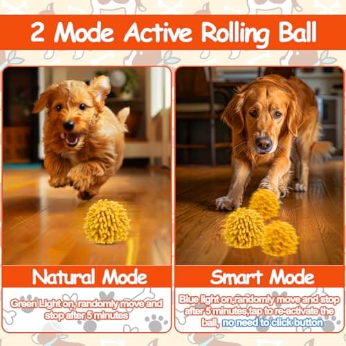 Interactive Dog Toys - Self Rolling Dog Ball with Anti-Chewer Cover for Small/Medium Puppy, Active Motion Activated Toys That Move on its Own, Orange view 4