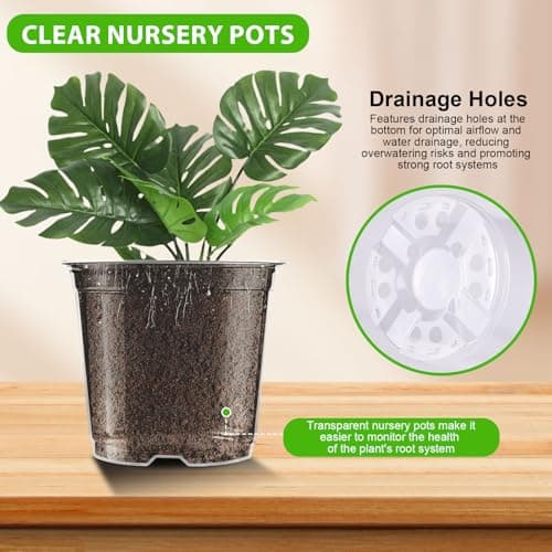 auriikoop Clear Nursery Pots 5/4/3.5 Inch Plastic Seedling Plant Pot with Drainage Holes for Transplanting Succulents Cuttings (15Pcs) view 4