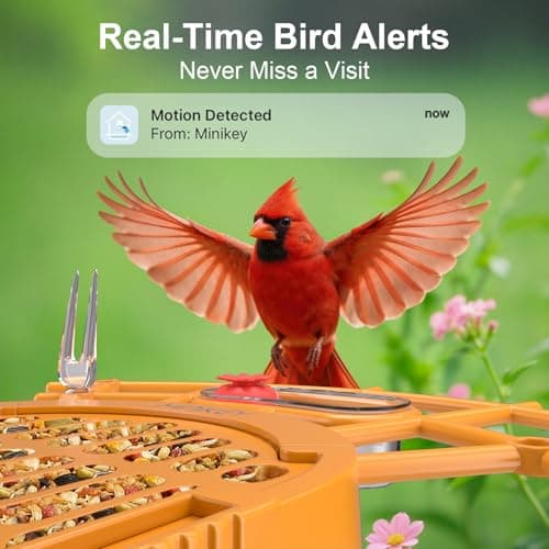 Minikey Smart Bird Feeder with Camera Outdoor Birdhouse, 4MP Ultra HD & AI Identify 11000+ Species, 2L Large Capacity, Solar Powered with App Arrived Alerts, Ideal Bird House Gifts for Mom Dad view 5
