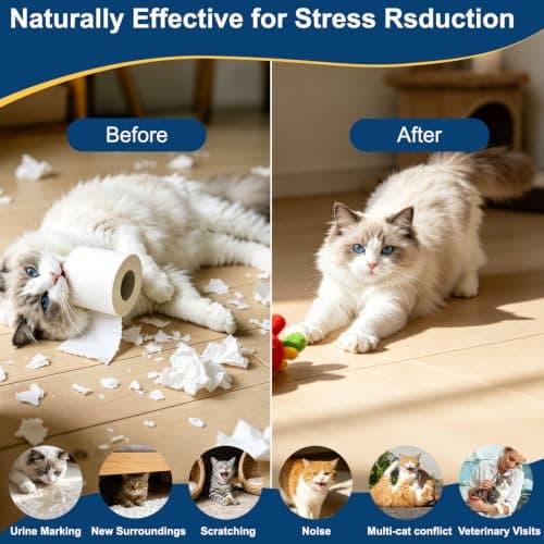 YooBaaLee Cat Calming Pheromone Diffuser Kit Plug-In for Stress Relief | with 2 Diffusers & 4 Refills, Anxiety Relief for Cats, Helps with Scratching, Urine Marking & Fighting, for Multi-Cat Homes view 4