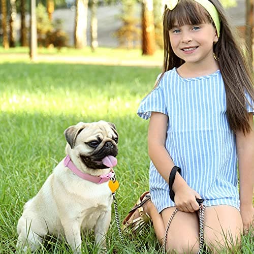 48 Pcs Blank Pet ID Tag Colorful Aluminum Dog Cat Badge Blank Round Heart Star Bone House Rectangle Tags with Ring Pet ID Badge Pendant with Hole for Dog Cat Name Phone Number, 6 Styles view 7